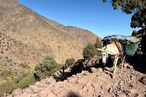 Western High Atlas Circuit Trek — 6 Days
